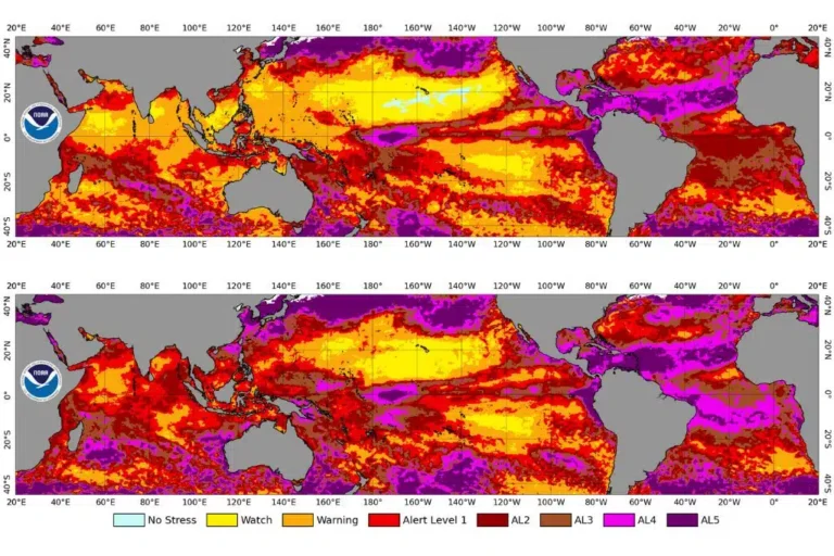 NOAA Coral Reef Watch’s global 5km-resolution satellite Coral Bleaching Alert Area Maximum map, for January 1, 2023 to April 10, 2024 (top) and for January 1, 2023 to April 20, 2025 (bottom). This figure shows the regions, around the globe, that experienced high levels of marine heat stress (Bleaching Alert Levels 2-5) that can cause reef-wide coral bleaching and mortality. Image: NOAA.