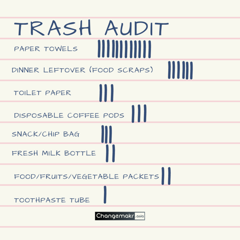 Trash Audit step 2