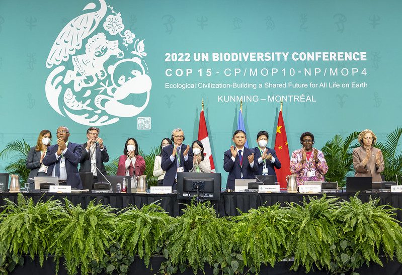COP15 In Montreal: Five Takeaways From The UN Biodiversity Summit