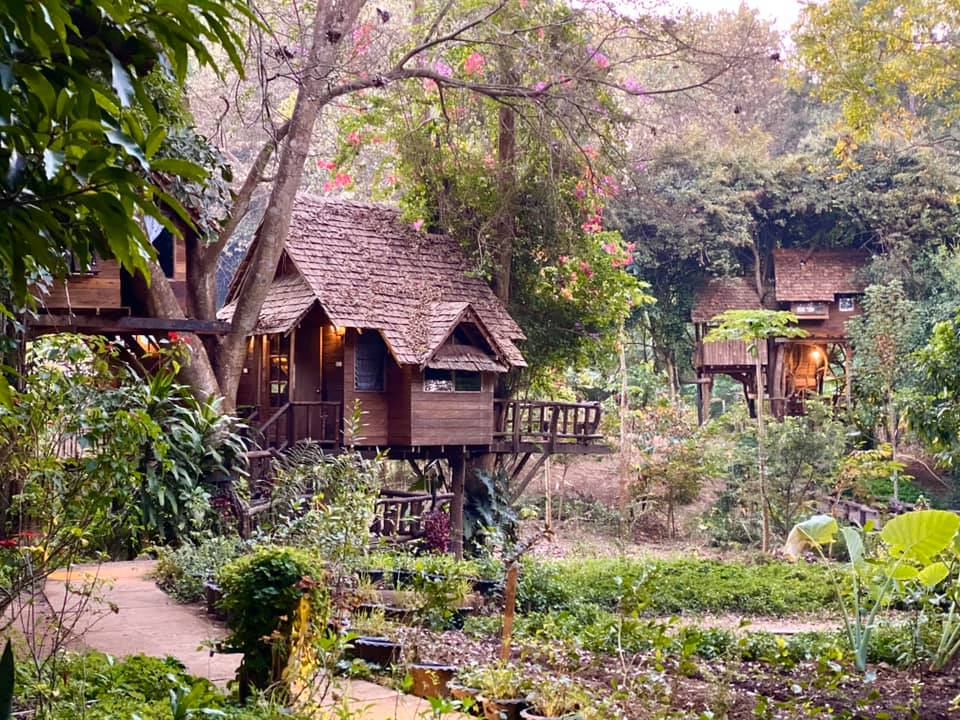 Rabeang Pasak TreeHouse