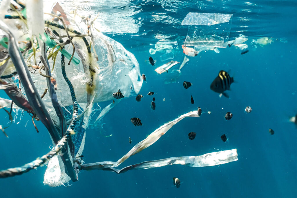 plastic waste in the ocean