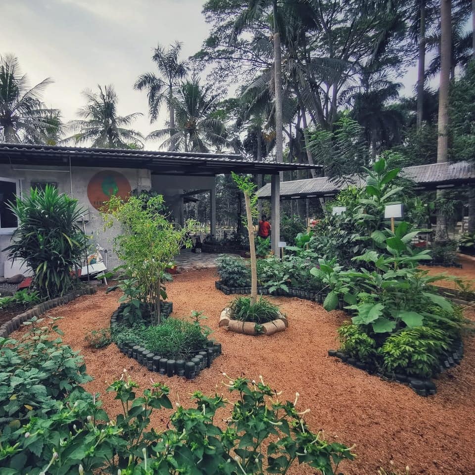 Kebun Kumara