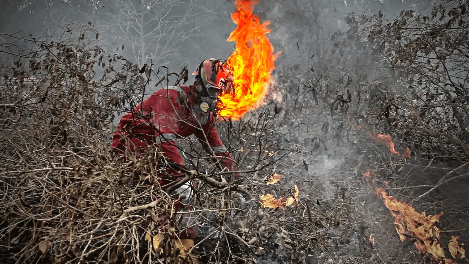 Read more about the article Annual Fire Season Has Started Again, With Hotspots Detected In Several Provinces