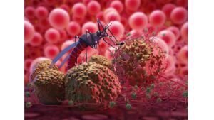 Mosquito with Malaria or Zika Virus by nopparit from Getty Images Signature