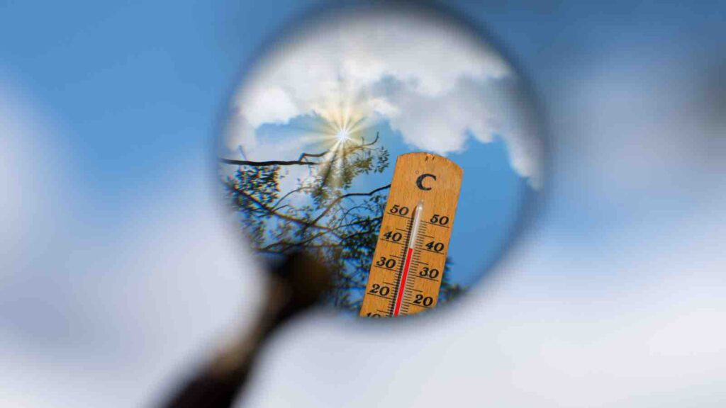 Heatwave in summer View more by Stadtratte from Getty Images