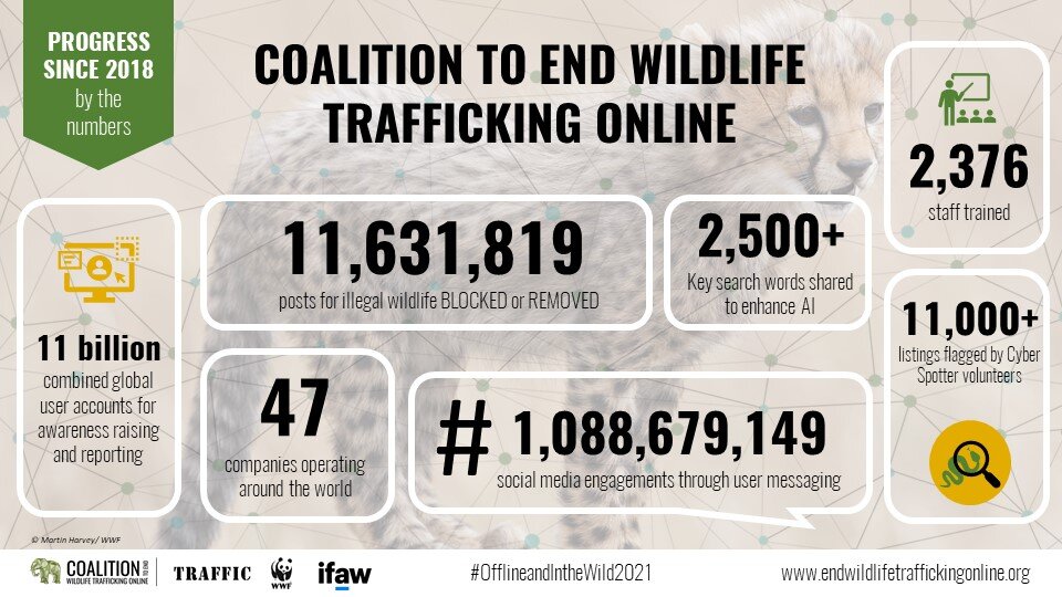 Coalition to End Wildlife Trafficking Online