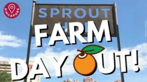 City Sprouts Farm Day Out | ChangeMakr Asia