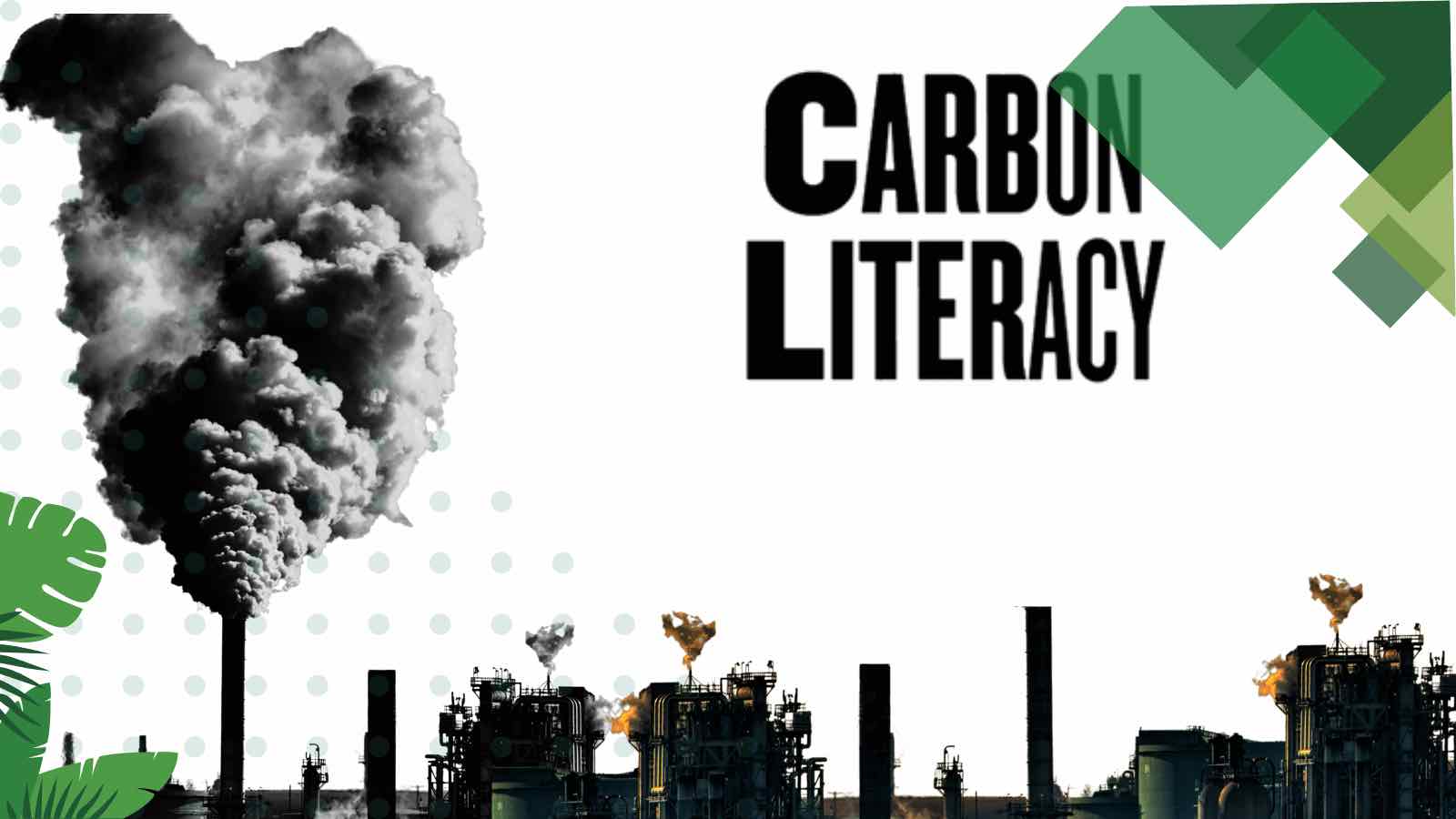 Read more about the article The First Step Towards Climate Correction: Join the Climate and Carbon Literacy Training For All