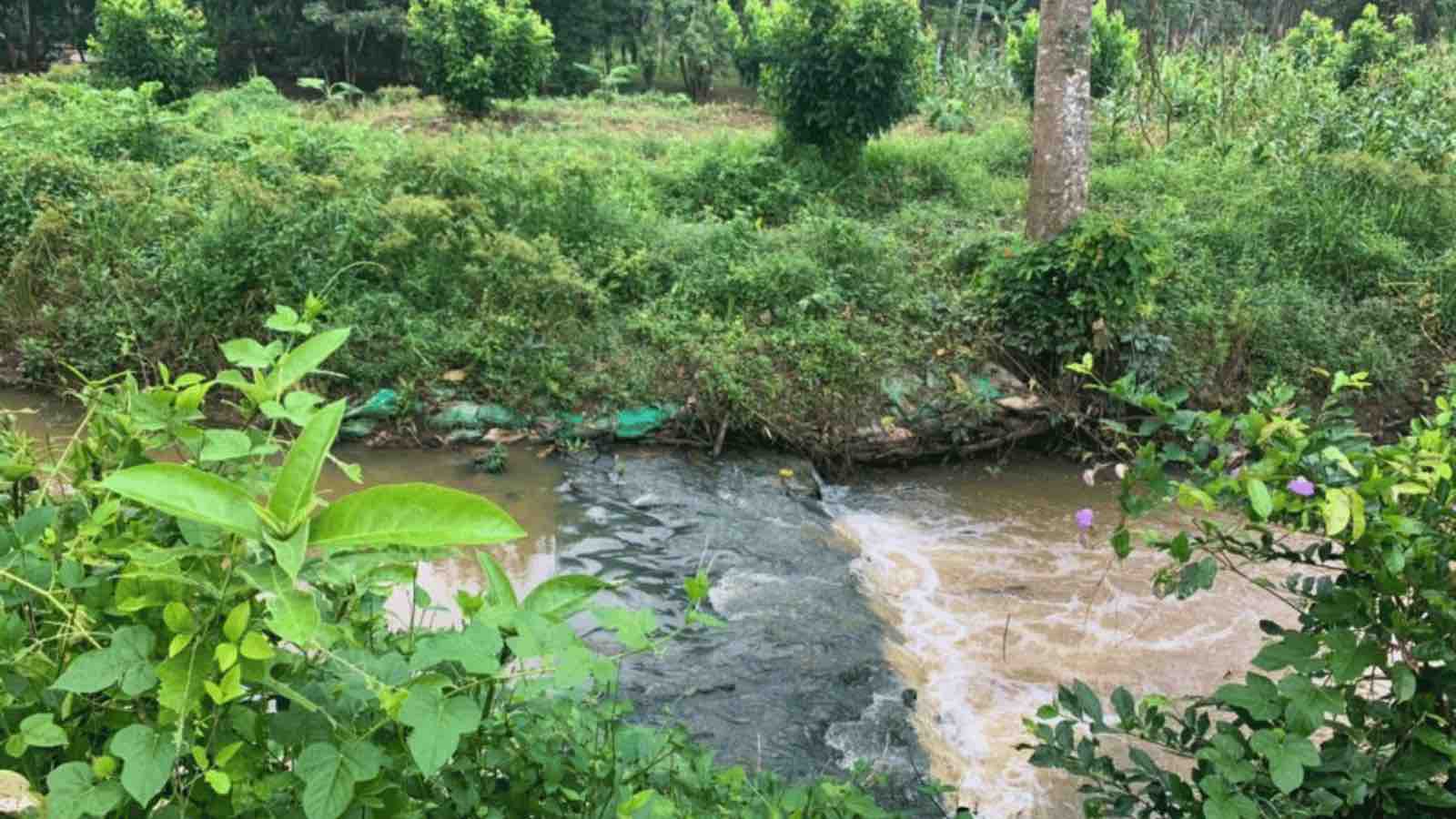 Read more about the article Thailand Embraces Nature-Based Water Strategies for Climate Resilience