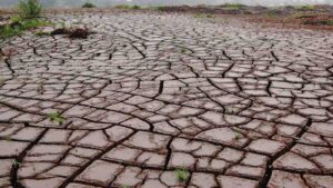 El Niño drought by Tigeryan from Getty Images