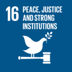 SDG 16 icon