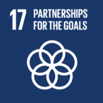 SDG 17 icon
