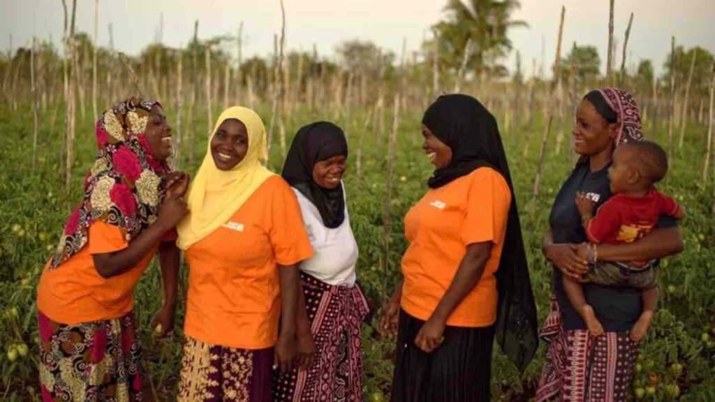 When the data doesn’t tell the full story: improving gender-responsive climate finance