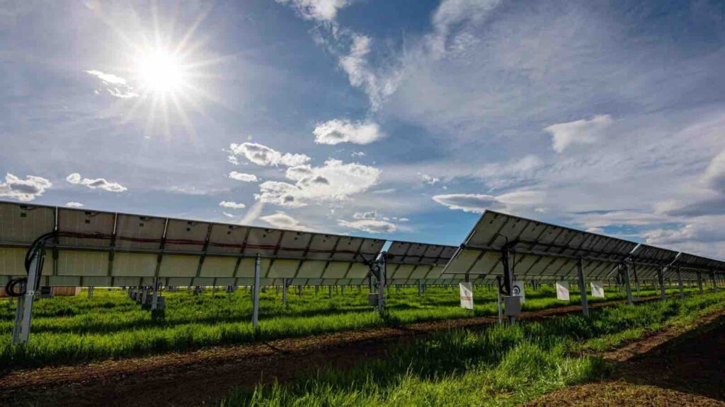 Agrovoltaics by Werner Slocum / NREL