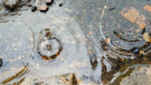 image rain - nature rain drops by chepy rednet from Getty Images