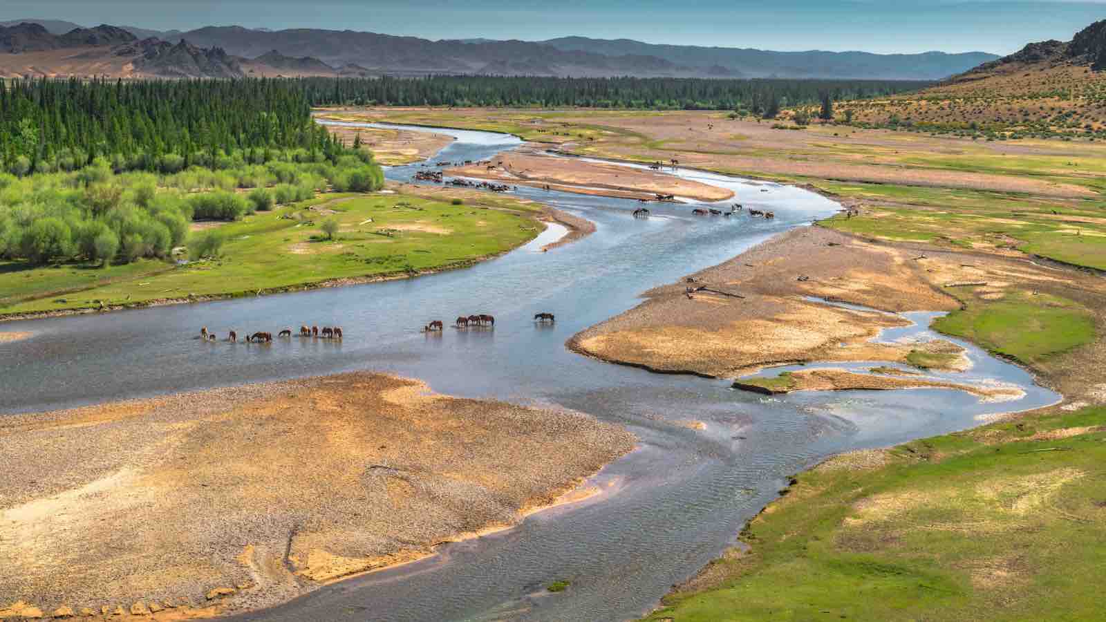 Read more about the article Mongolia and The Nature Conservancy Launch ‘Eternal Mongolia’ to Champion Climate and Biodiversity Goals