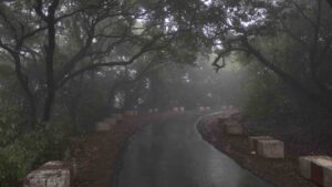 Wet road. Monsoon, Mahabaleshwar, India by ePhotocorp from Getty Images