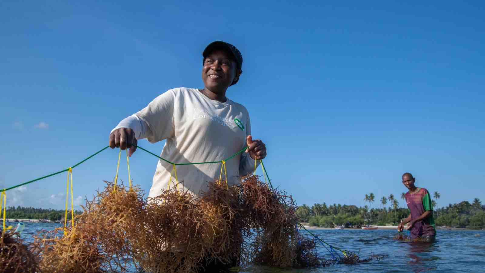 Read more about the article The Nature Conservancy (TNC) Publishes Regenerative and Restorative Aquaculture Framework