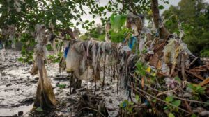 Mangroves pollution image by Plastic Mangrove Forests