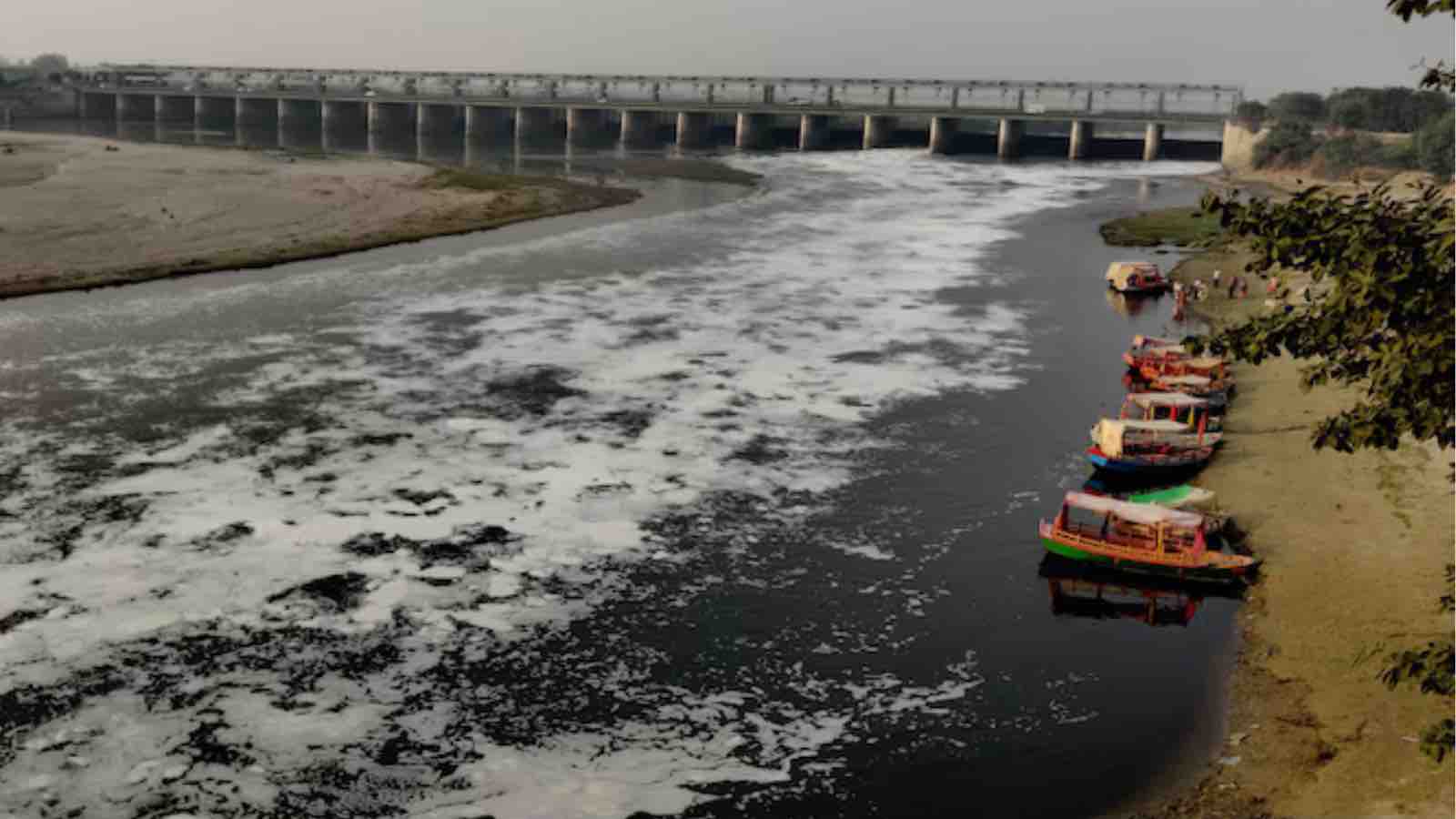 Read more about the article Delhi’s Yamuna Cleanup Plan Begins, but Challenges Remain