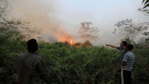 30 Hotspots Detected in East Kalimantan, Calls for Vigilance to Prevent Forest Fires