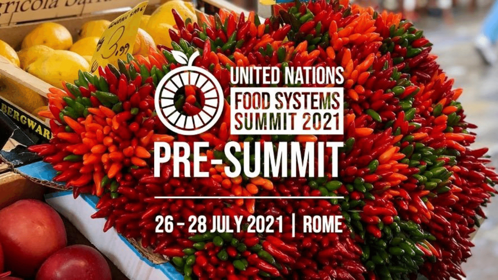 Read more about the article Food System Pre-Summit 2021 : A Bold Action For A Better Food Systems