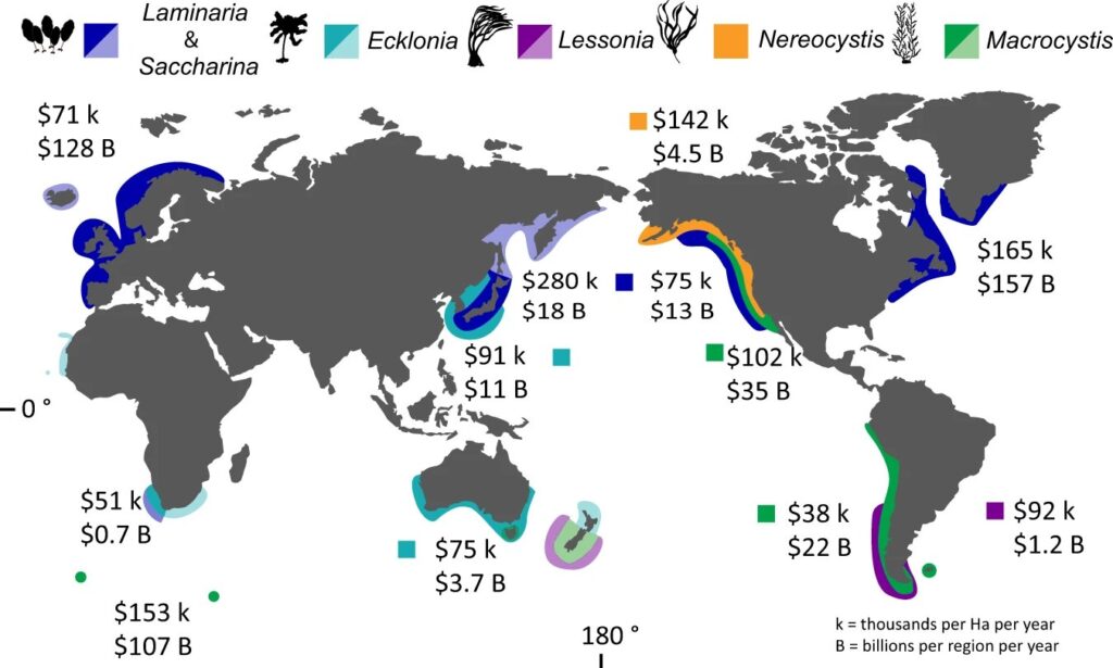 Kelp Forest distribution