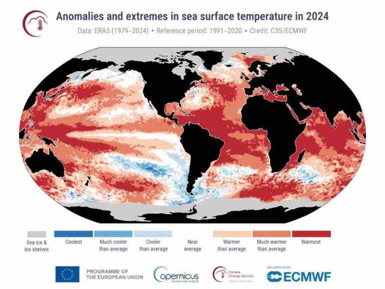 Anomalies and extremes in sea surface temperature in 2024. Image: Copernicus Climate Change Service / ECMWF.