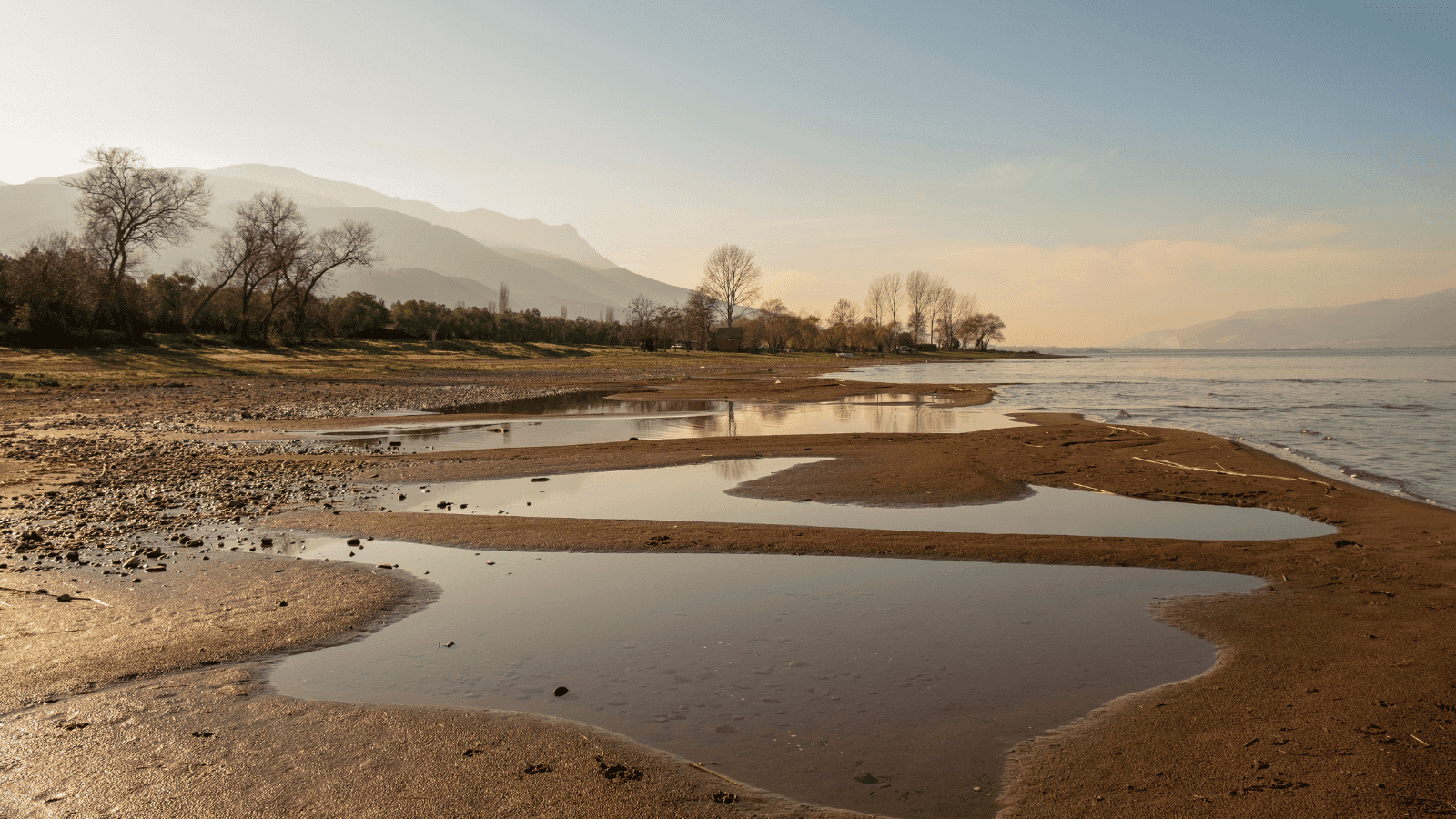 Read more about the article Gender Matters in Climate Action: A Call to Action for Developing Economies in the Asia Pacific Region