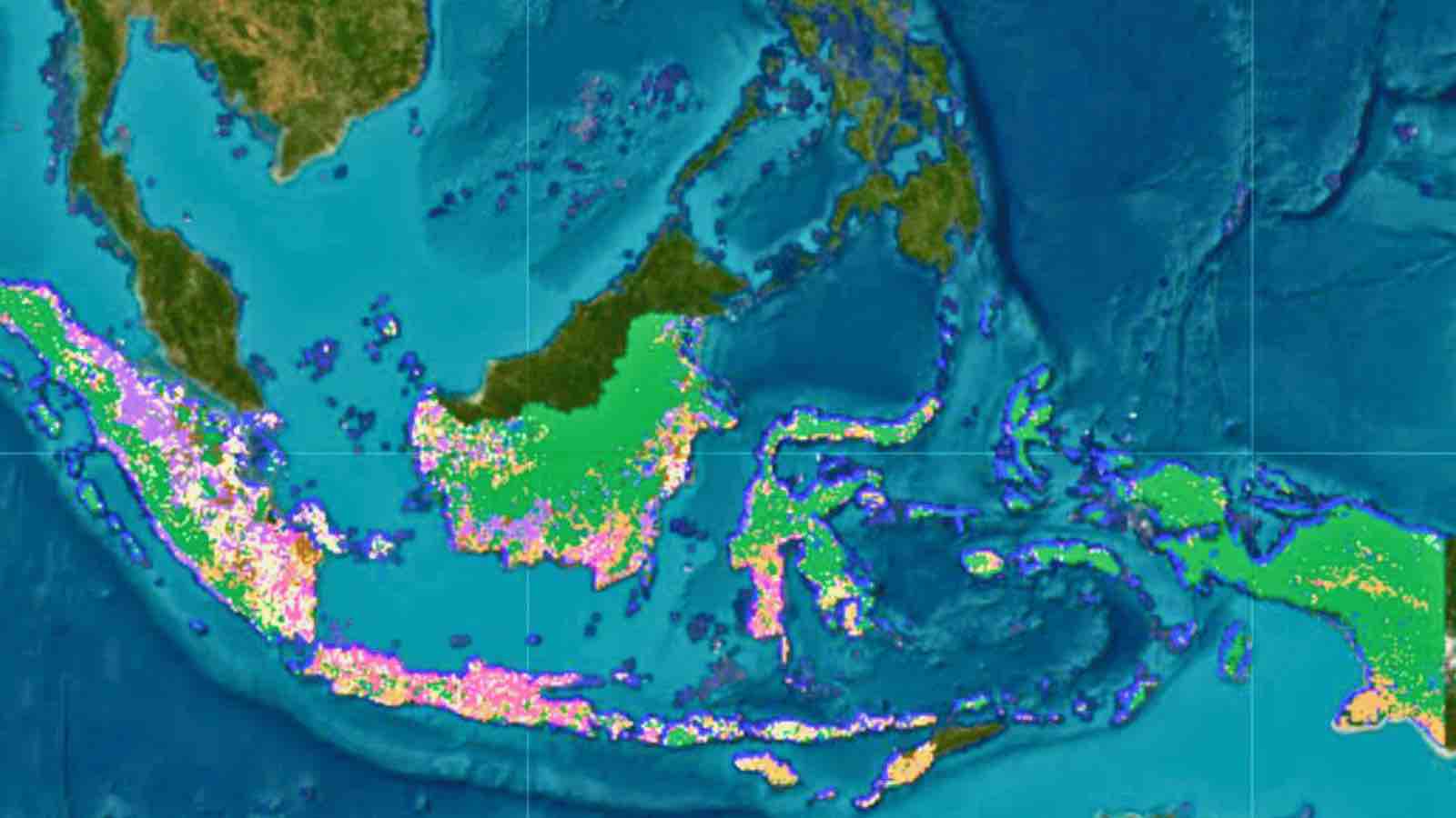 Read more about the article Mapbiomas Rolls Out Enhanced Land Change Monitoring for Indonesia