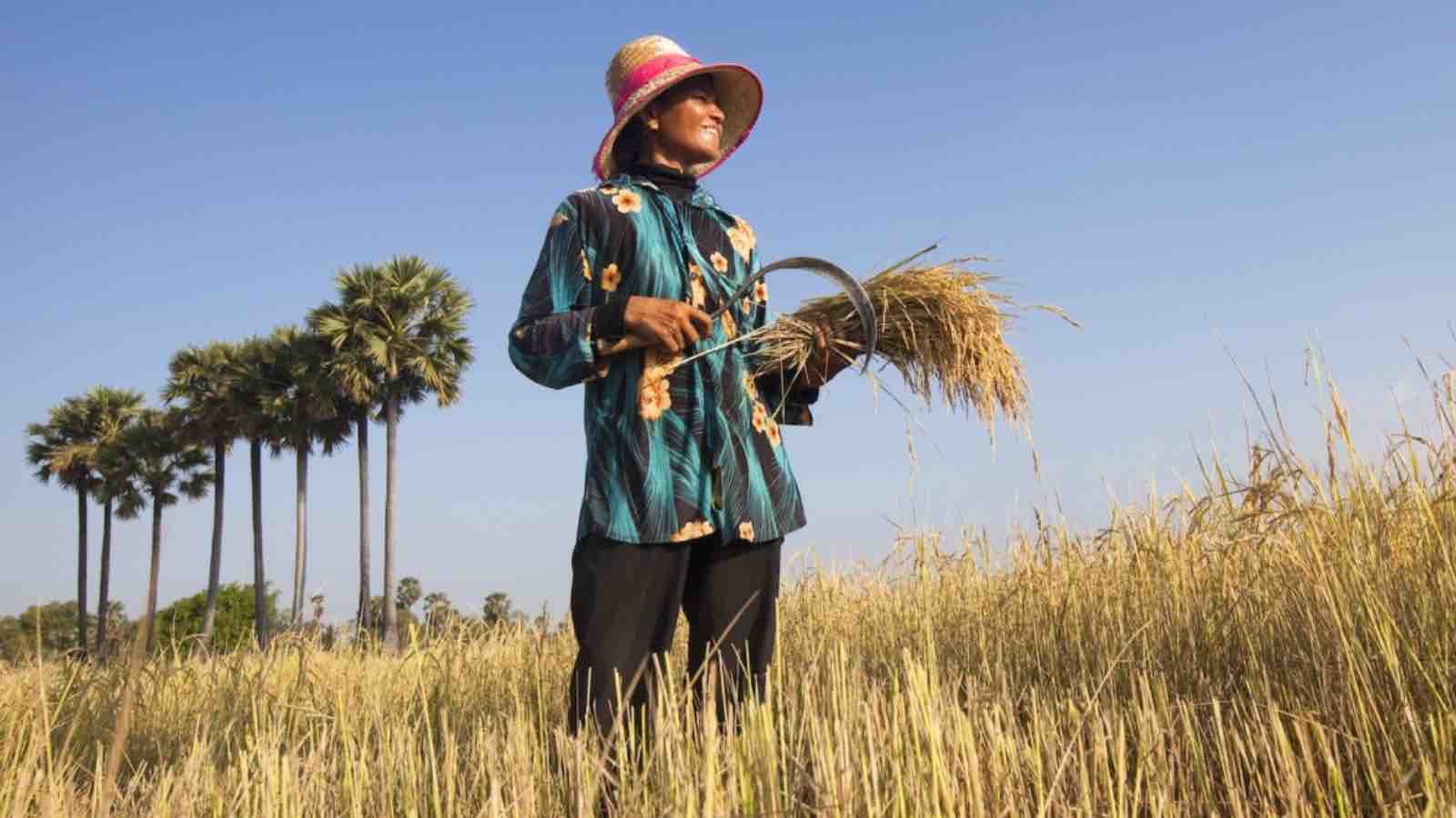 Read more about the article Renewable energy: a boon for women farmers in Cambodia