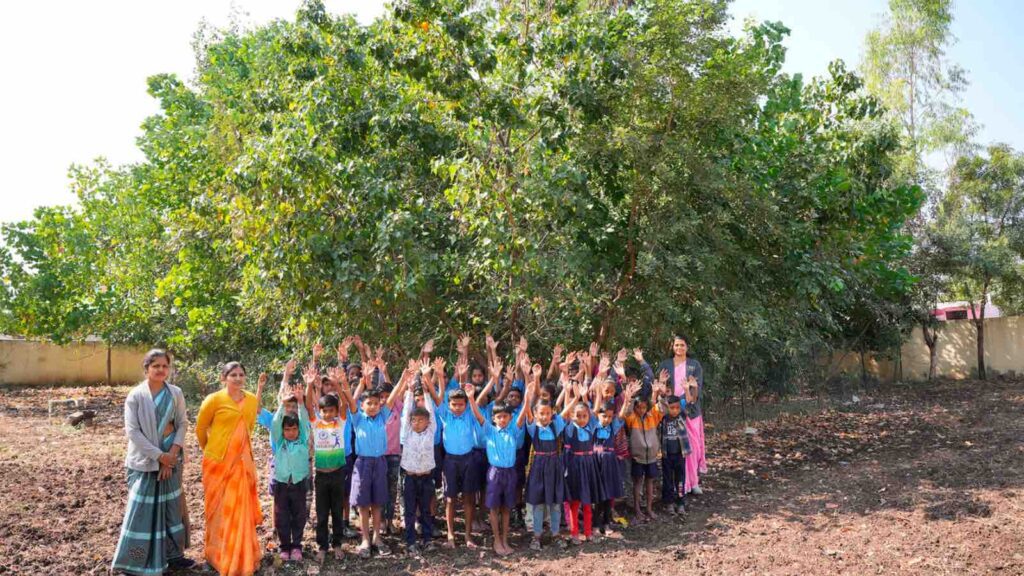 Pocket forest in the school - Aurangabad, India (image credit : sugiproject.com)