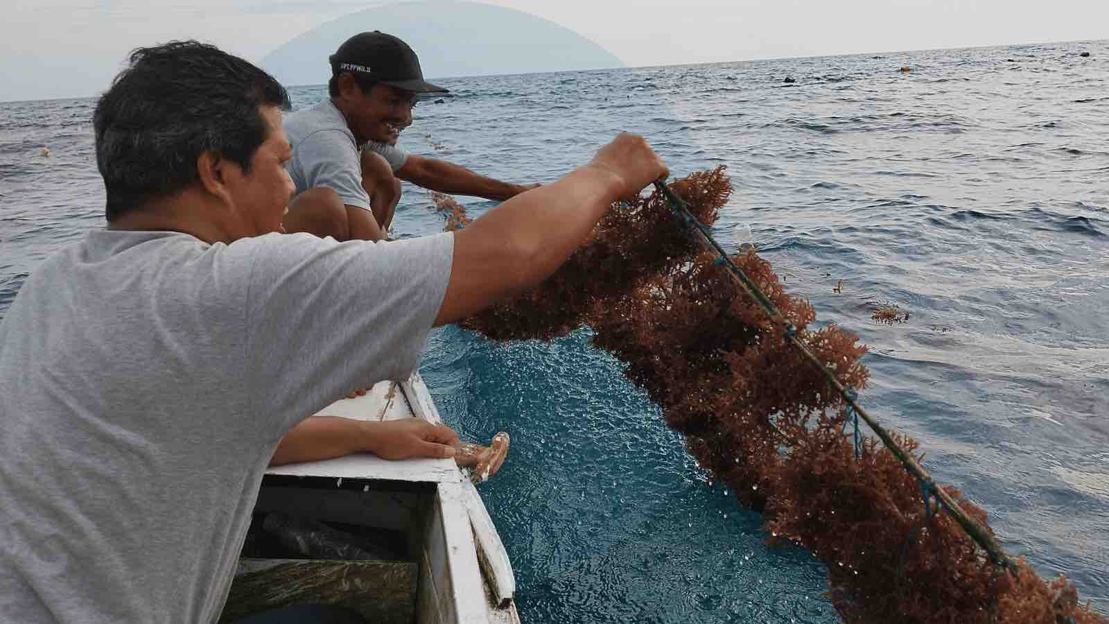 Read more about the article Navigating Indonesia’s Blue Economy Through Coastal Communities With Boedi Sardjana Julianto