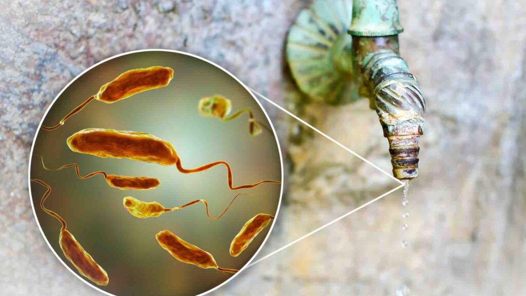 Safety of drinking water. Conceptual illustration and photo showing bacteria Vibrio cholerae in a drop of water from an old street tap by Science Photo Library