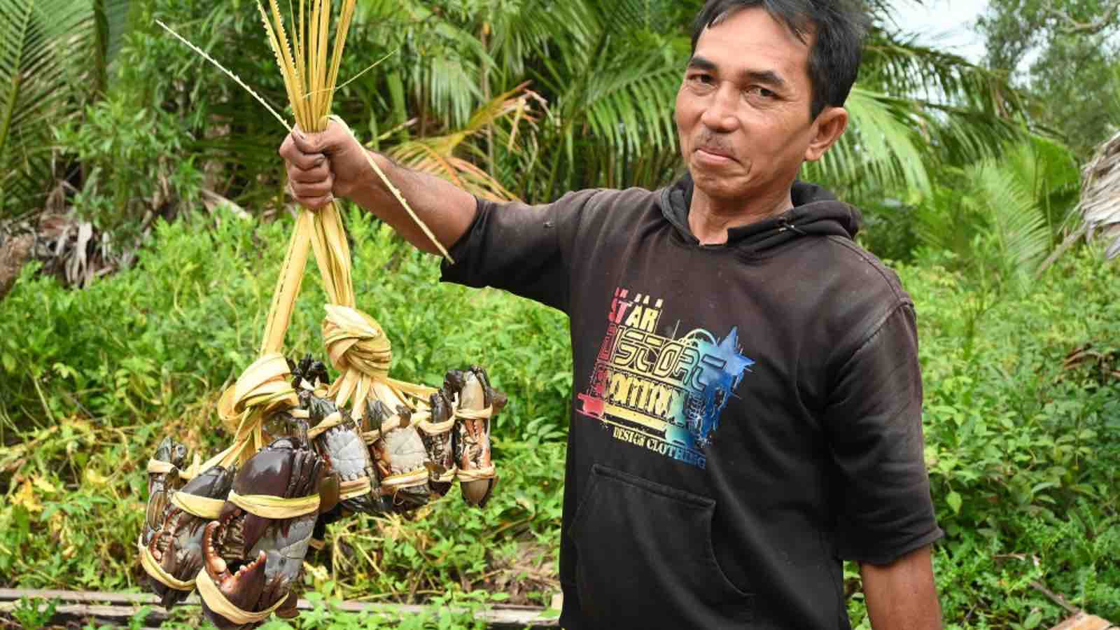 Read more about the article In Indonesia’s Indragiri Hilir, Climate Change Forces Farmers Turn to Mangroves and Fishing