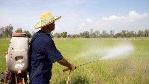 Farmer spraying Liquid Fertilizer by x-reflexnaja from Getty Images