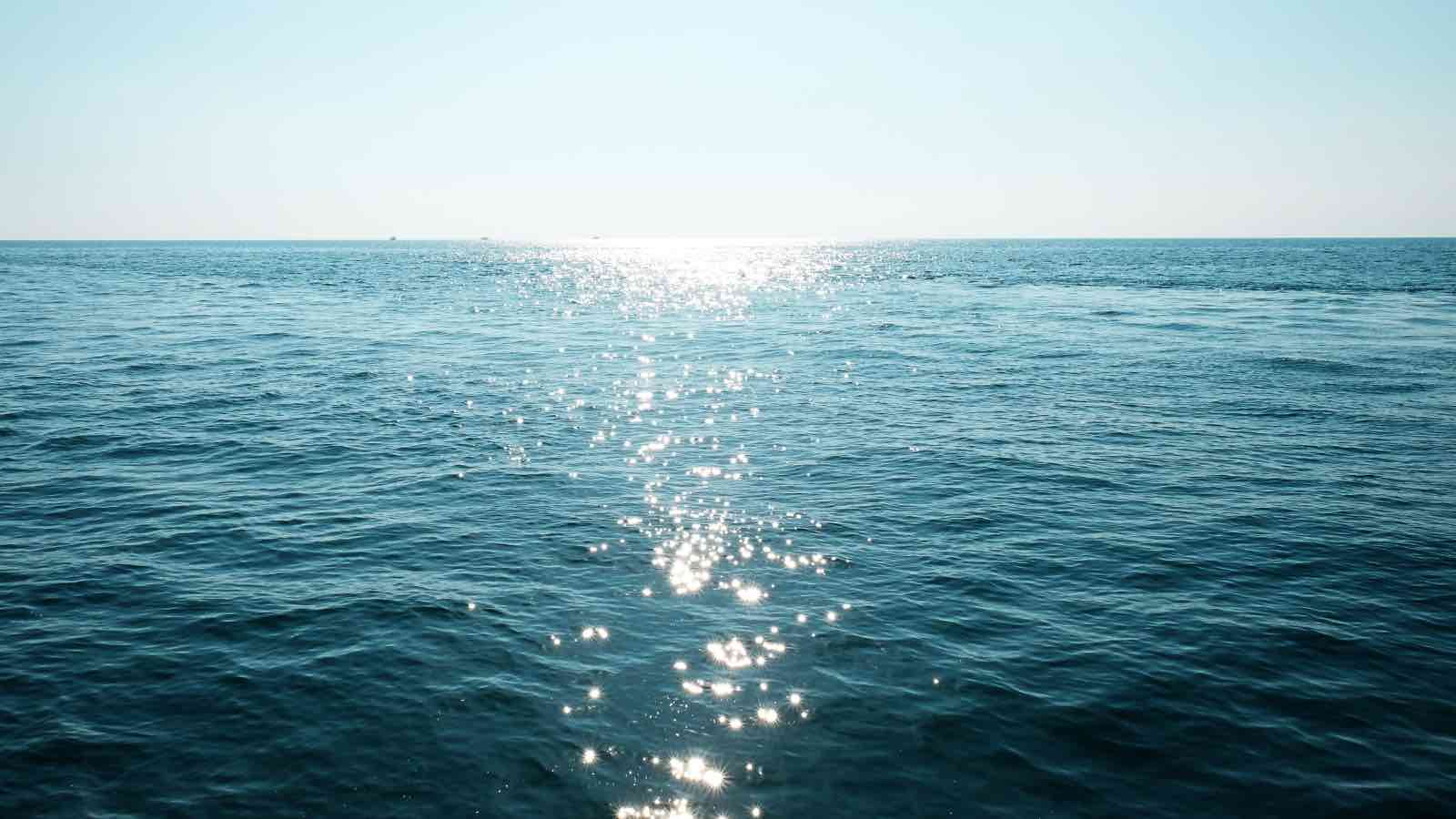 Read more about the article UN Ocean Conference Ends with Momentum — and Missed Chances to Protect the Ocean