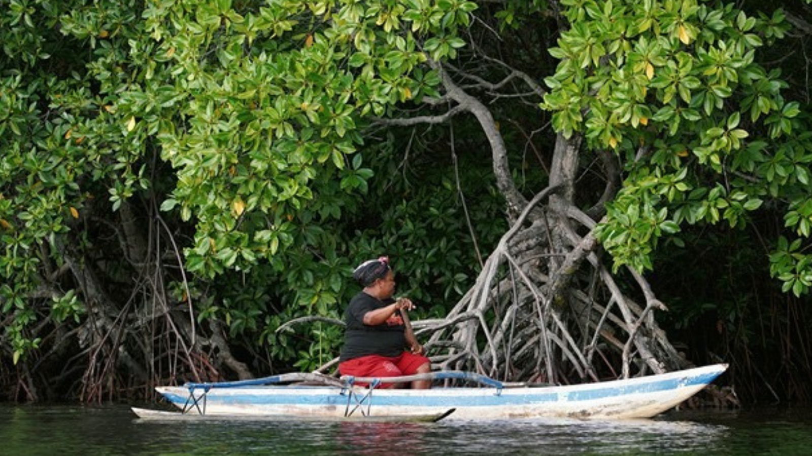 Read more about the article Tonotwiyat Tradition And Women Sacred Mangrove Forest in Papua