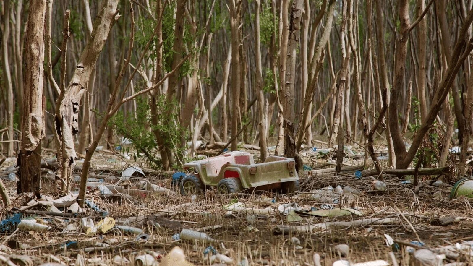 Read more about the article Java’s Mangroves Pay A High Price For Stopping Plastic Flowing Out To Sea