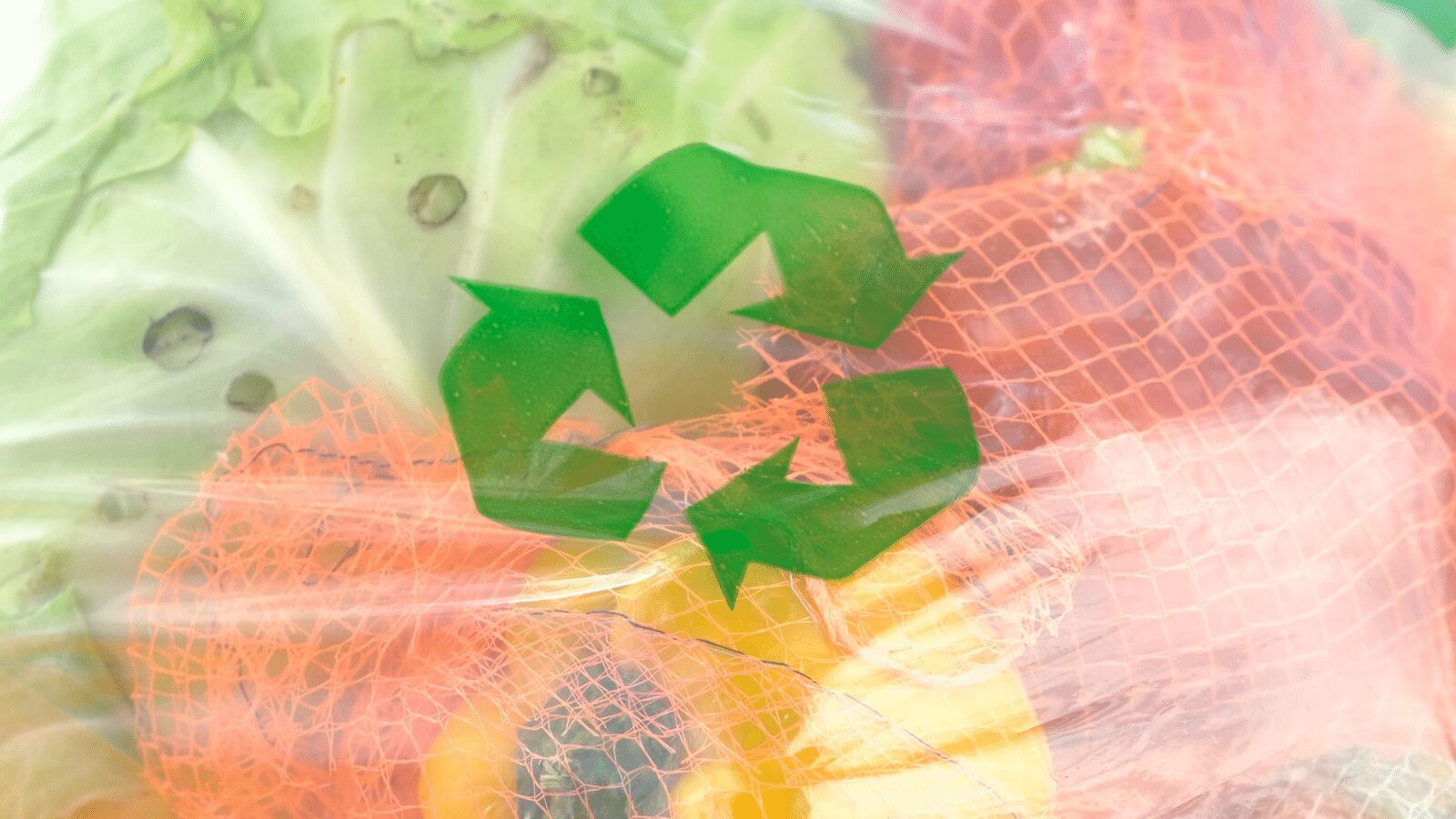 Read more about the article Recycling Is A Good Place To Start, But A bad Place To Stop : Here’s Why