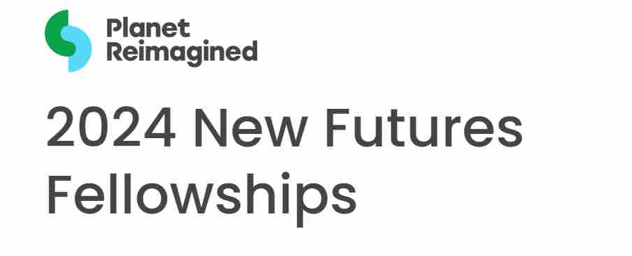 The New Futures Fellowship 2024