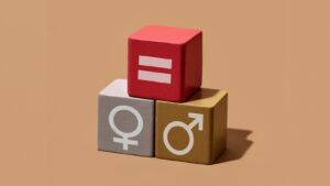 gender equality capacity building