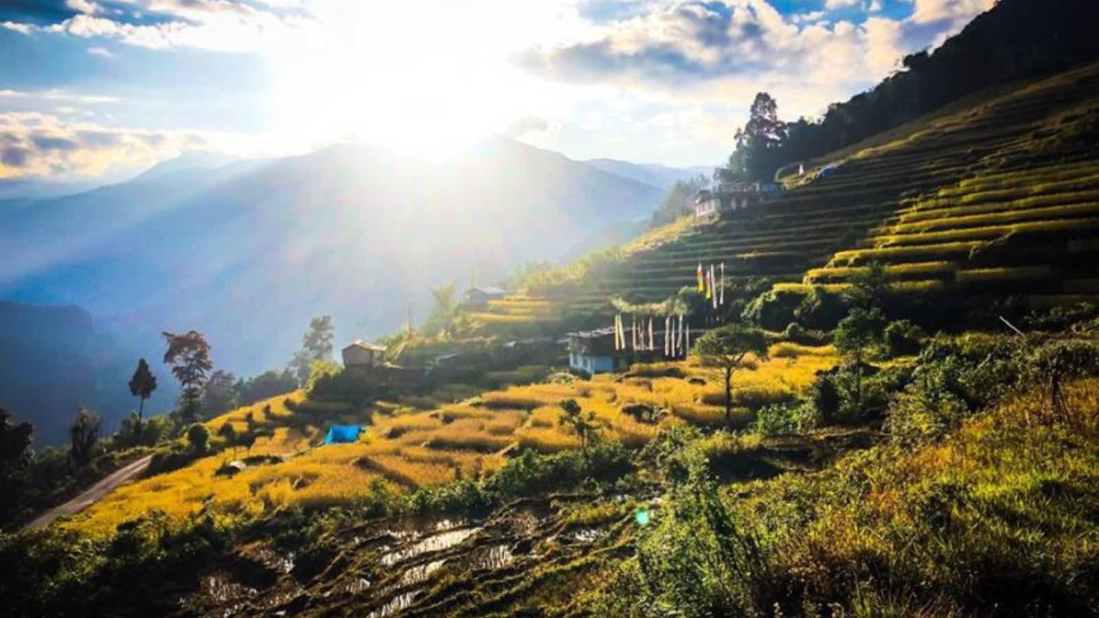 Read more about the article Reviving Sikkim’s Agroecology: Balancing Traditional Practices with Modern Sustainability