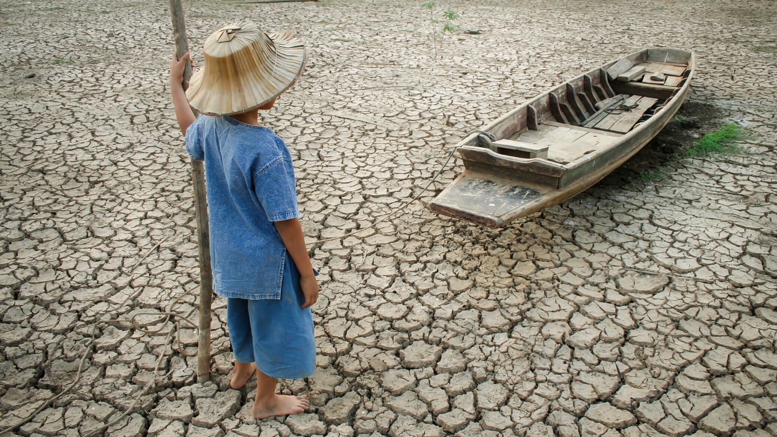 Read more about the article Climate Change is here to stay : 10 quotes to inspire you to take action !