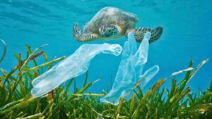 plastic pollution Disposable (Damocean from Getty Images)