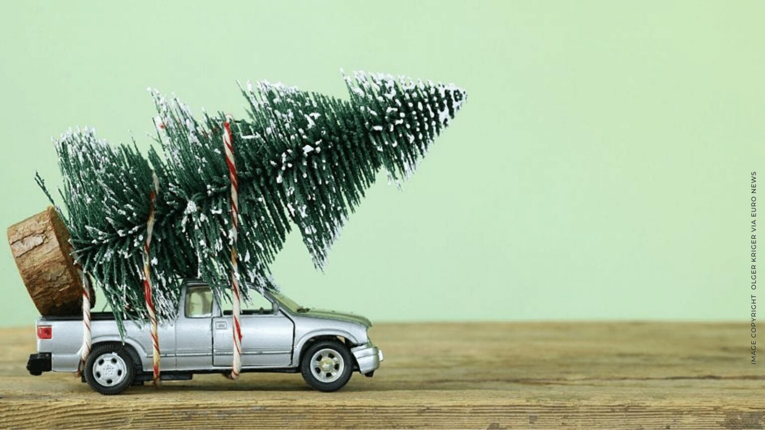 Fresh Vs Artificial : Which Christmas Tree Is Better For The Environment