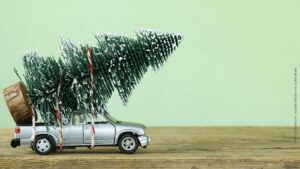 fresh vs artificial Christmas tree (image copyright : Olger Kriger Via EuroNews) | ChangeMakr Asia