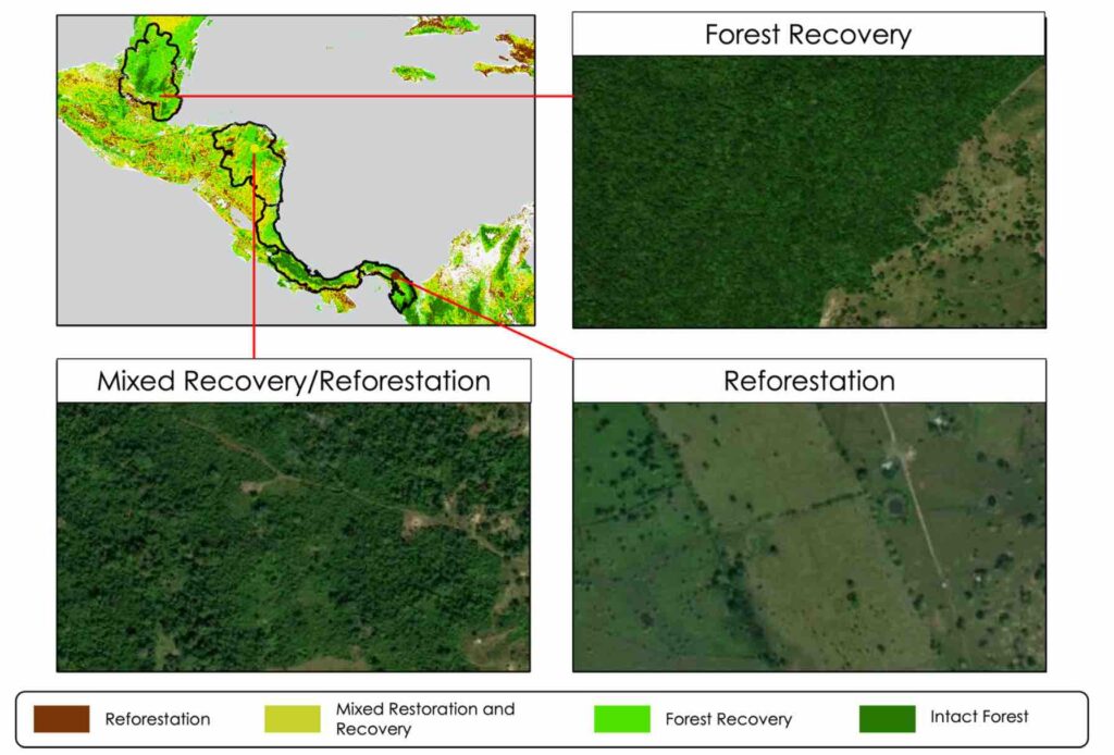 Examples of indicative of areas with potential for each of 3 forest restoration approaches in the 5 great forest landscapes of Mesoamerica. Figure from Rayden et al 2023.