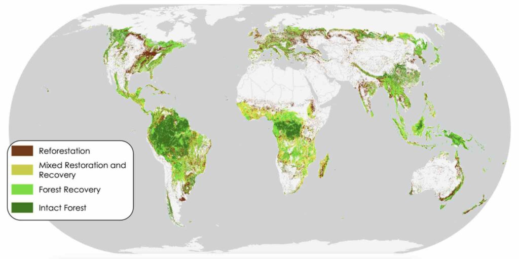 Forest restoration potential by intervention type. Areas with reforestation potential are mapped together with areas of degraded forest with potential for recovery. Figure from Rayden et al 2023.