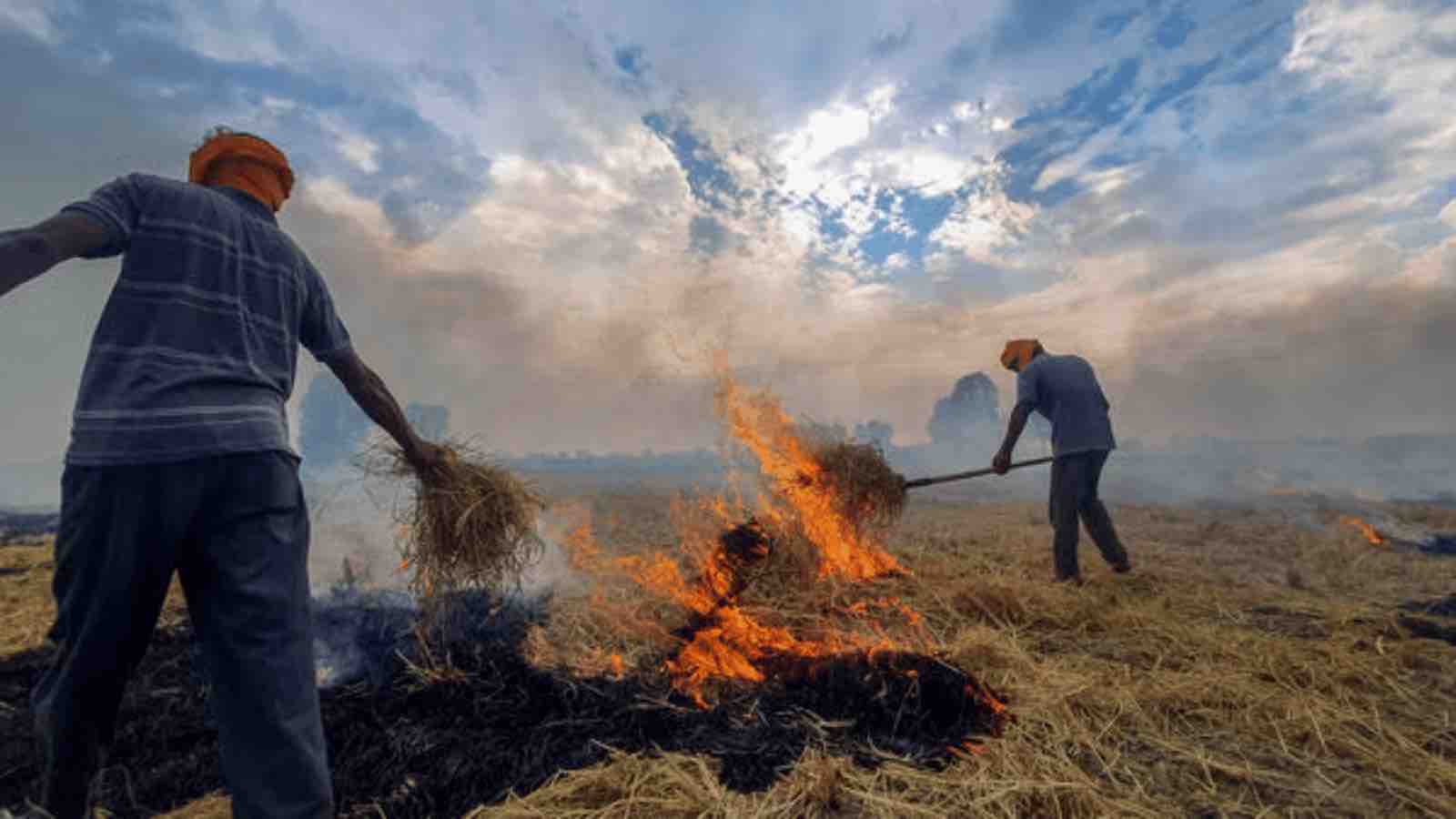 Read more about the article Delhi Breathes Easier: Rainfall and Initiatives Improve Air Quality, Stubble Burning Crisis Remains